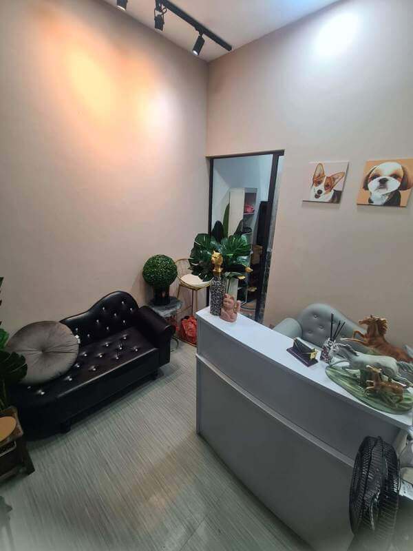 (Sold) Beautiful partially Reno Pet Shop/Grooming Studio