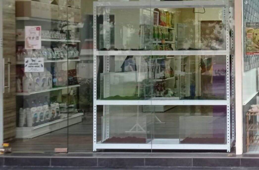 (Sold) AMK Pet Supplies Shop For Takeover BusinessForSale.sg