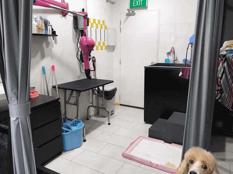 (Expired)Pet Grooming Shop For Takeover