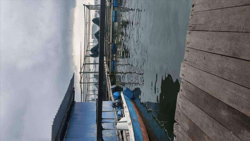 (Sold) Fish Farm In Ubin For Sale With Experience Worker.