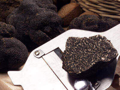 Fresh Truffle And Derivates F&B Distribution