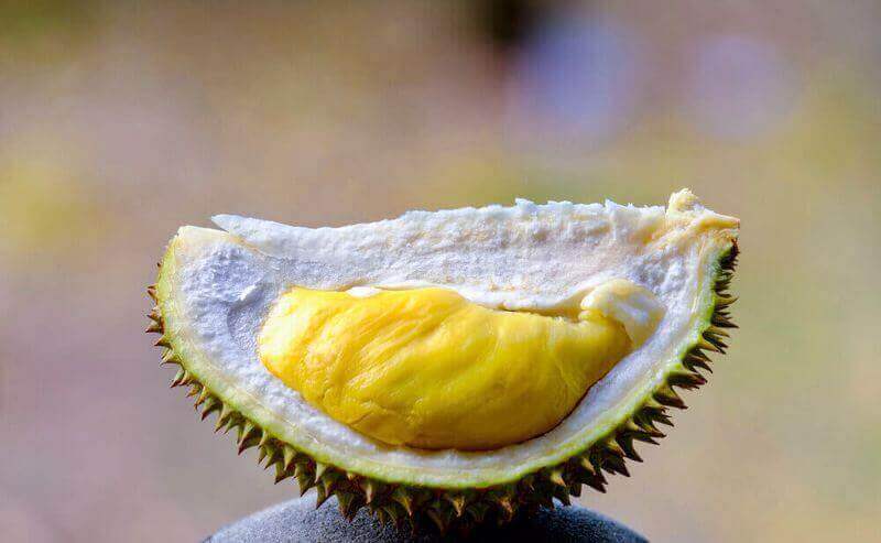 (Expired)Own Your Very Own Durian Tree (Yearly Returns Up To 30%)