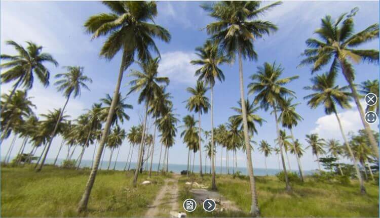 Beachfront Land Close To Singapore For Sale
