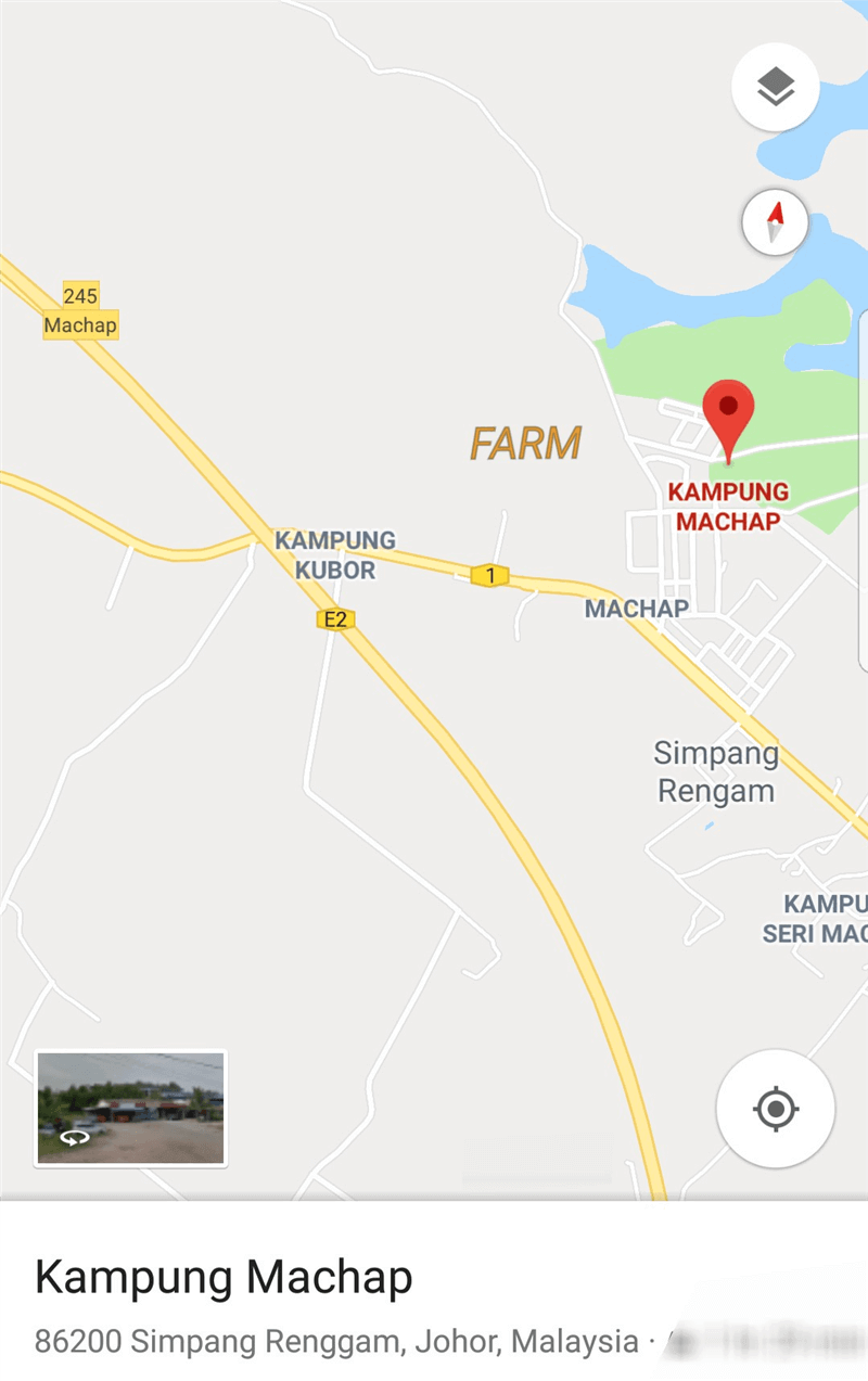 马来西亚 猫山王榴梿园 出售 Mature Musang King Durian Plantation in Machap (Johor, West Malaysia) for Sale