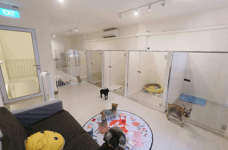URA Approved Pet Hotel. LOW TAKEOVER.