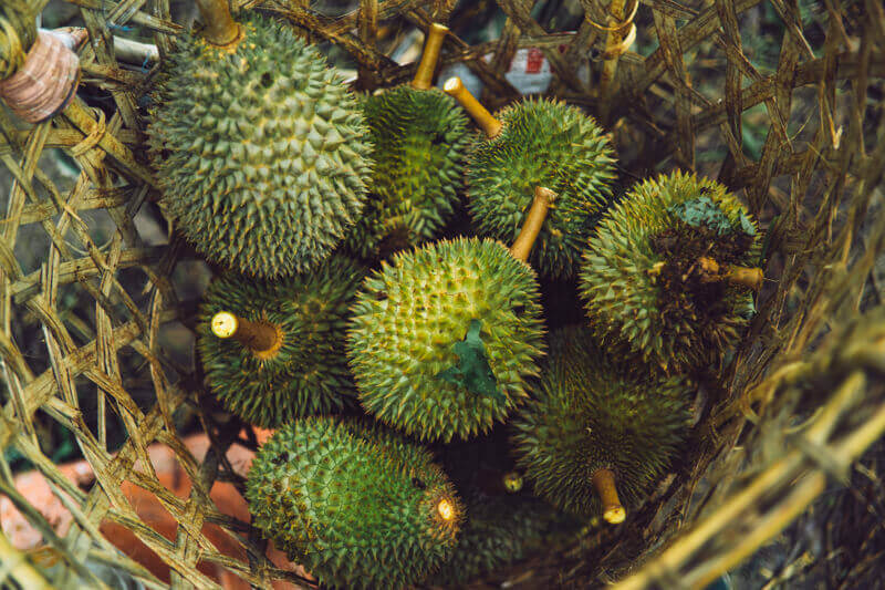 (Expired)Set Up Your Own Durian Business