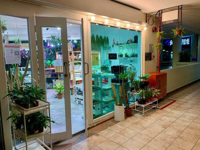 (Expired)Boutique Plant Shop At Tampines