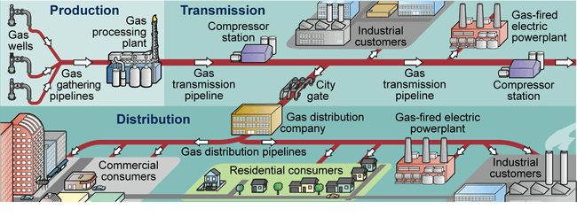 Gas Distribution Organization. Wholesale of natural gas.