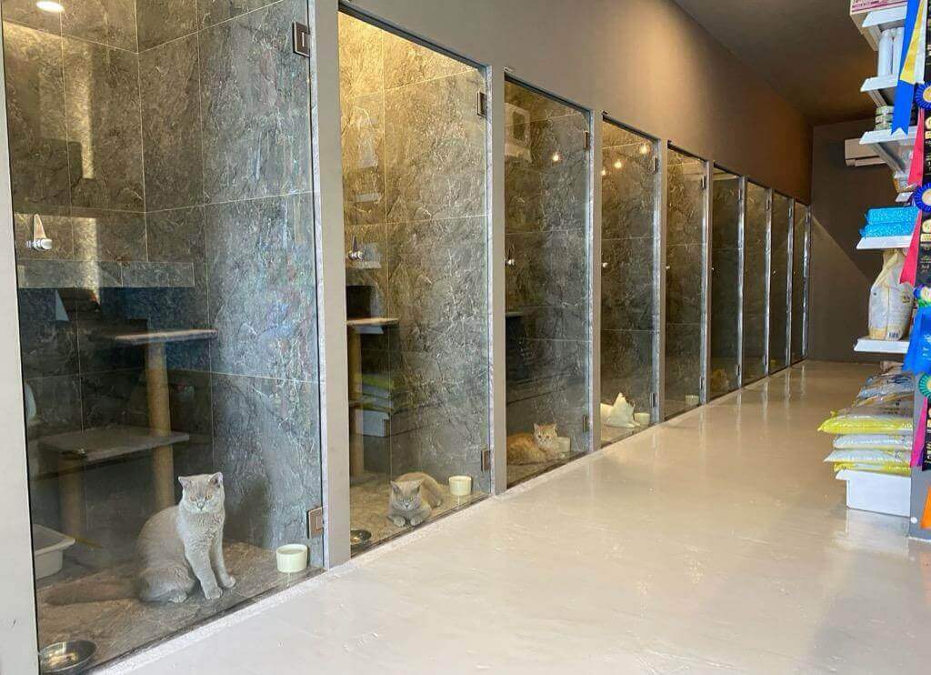 (Expired)2 storey renovated pet shop for take over