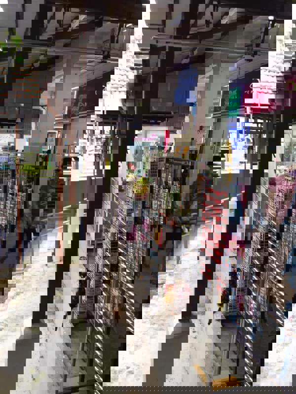 (Expired)Passive Claw Machine Business for Sale