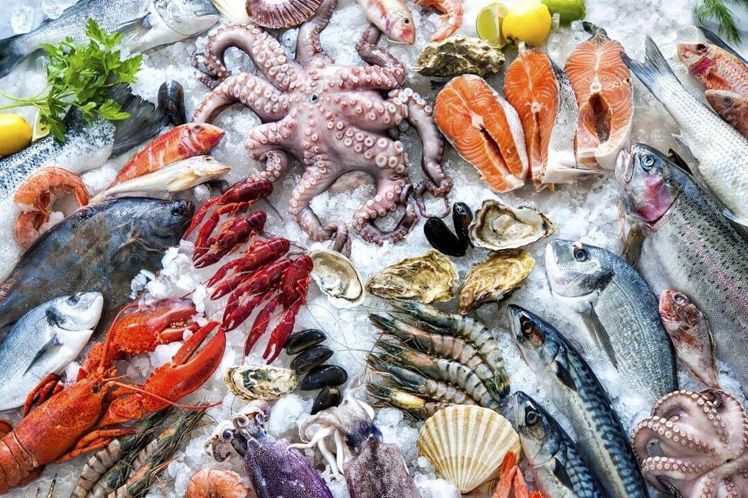 Seafood Supplier In Singapore