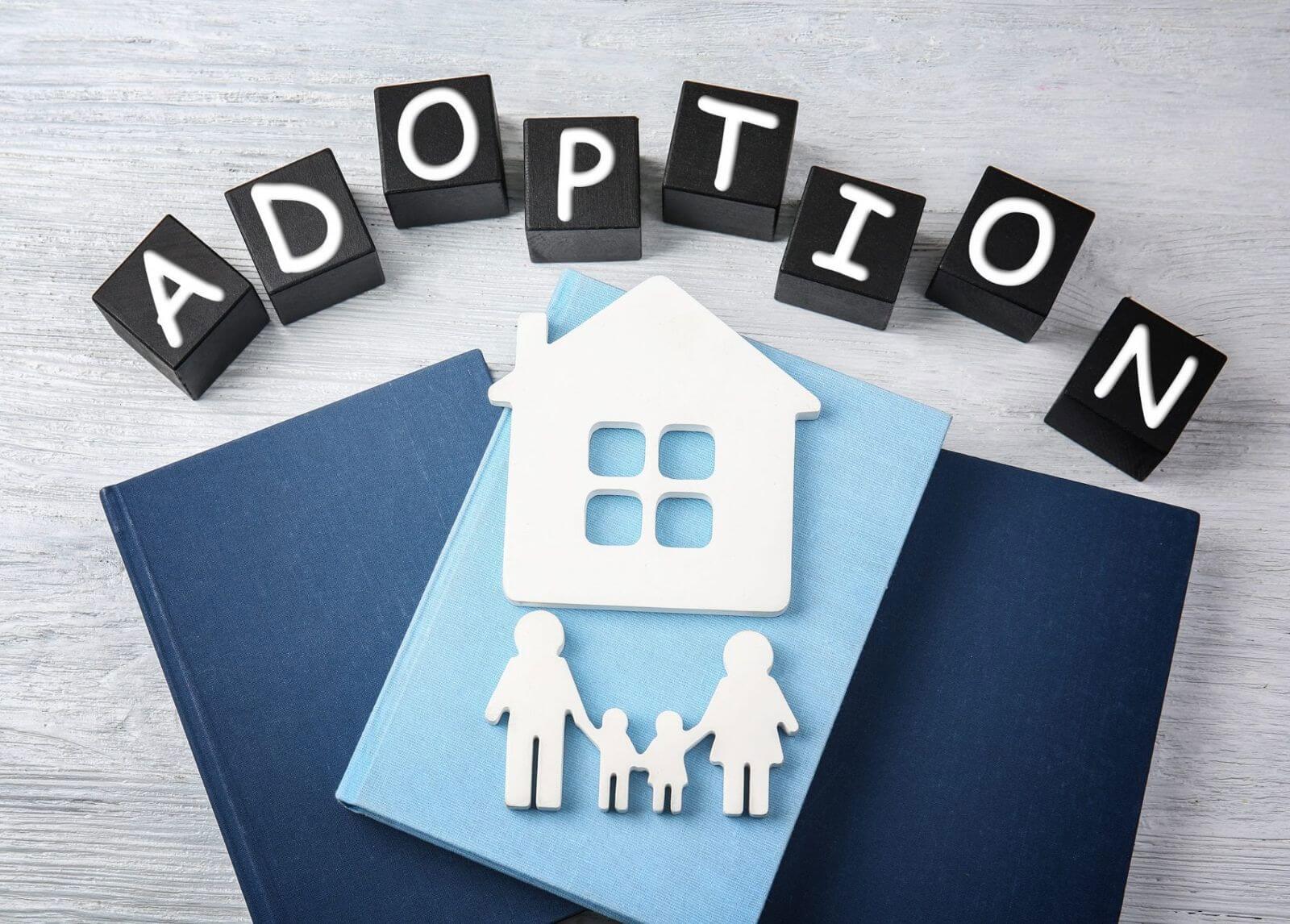 (Expired)Child Adoption Agency 