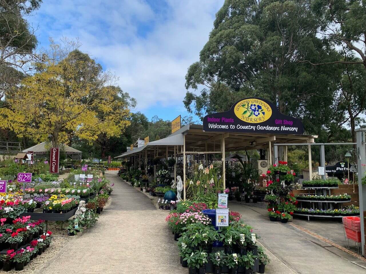Wholesale And Retail Plant Nursery Business With Freehold For Sale