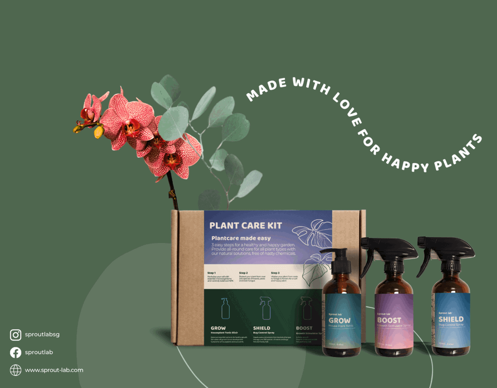 (Expired)Profitable Ecommerce Brand With Warehouse