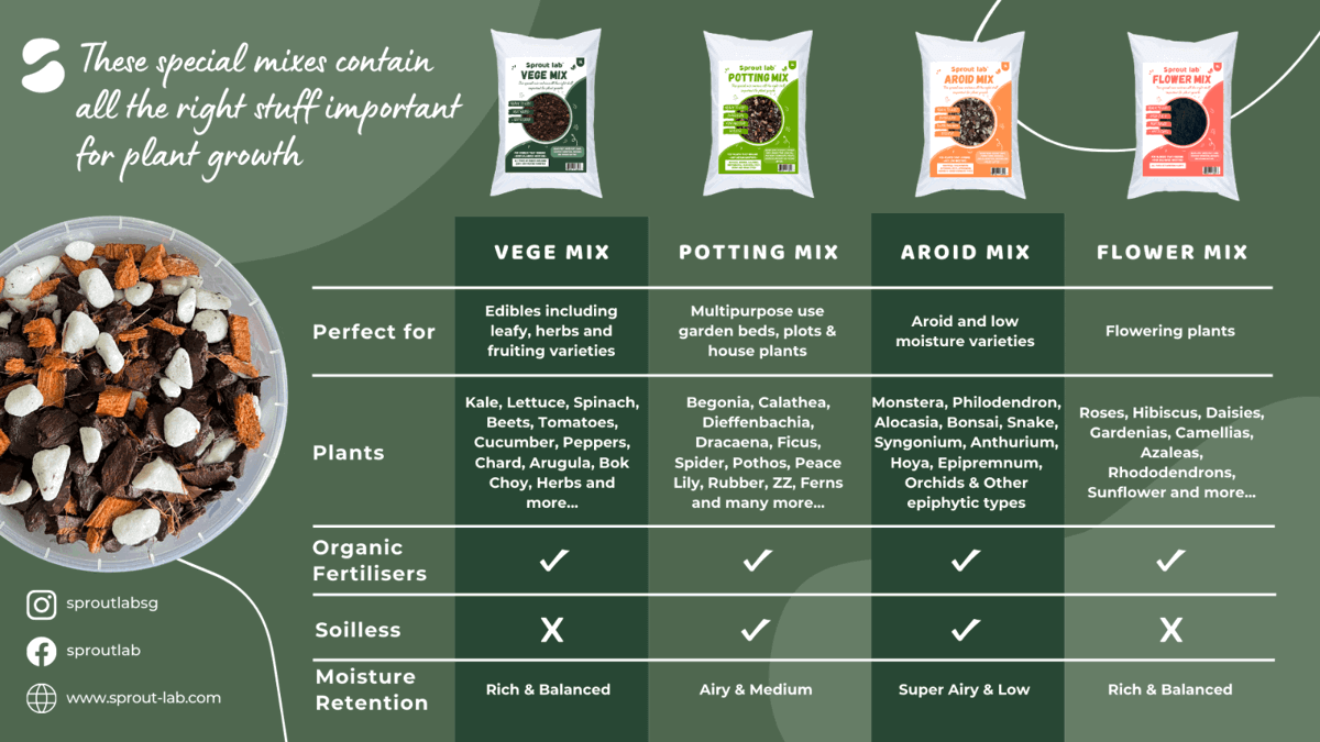 (Expired)Profitable Ecommerce Brand With Warehouse