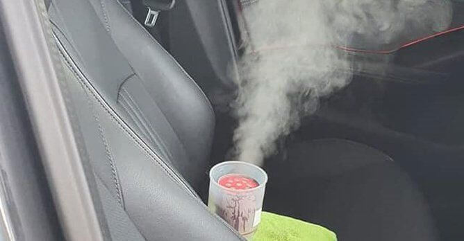 (Expired)Car Pest Control / Grooming Business For Takeover