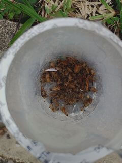 (Expired)Car Pest Control / Grooming Business For Takeover