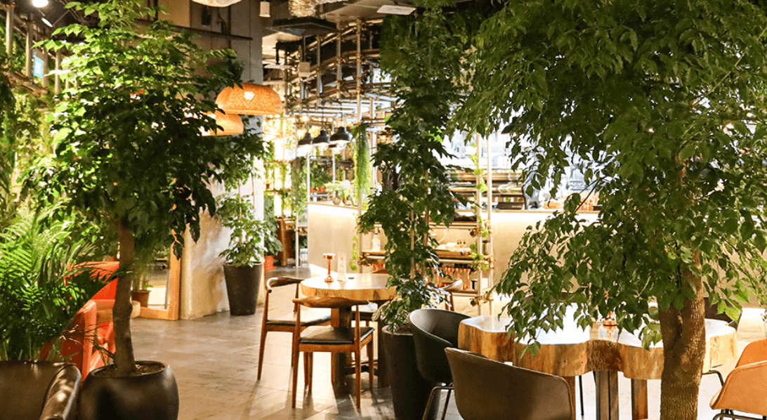 (On Hold)【出售/转让】乌节路网红cafe餐厅 ｜离地orchard铁站5分钟｜可直接接手营业 ｜ 可换招牌 ｜ 租金比市场低