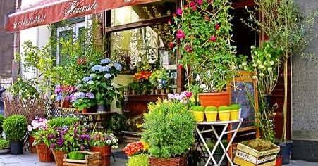 4 Florist Shops for Takeover