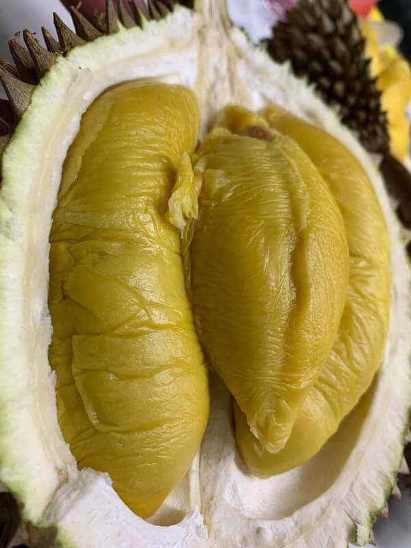 (Expired)Durian And Fruits Shop For Sale (8 Years In Business)