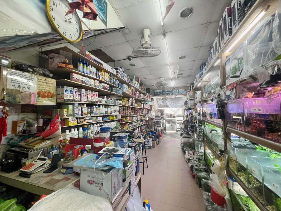 (Expired)Fish Shop Near Bedok Central For Takeover