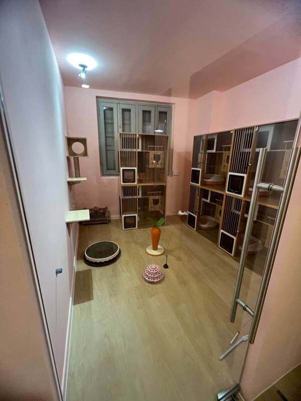 (Expired)URA Approved Cat Pet Hotel Takeover ( 9 Partition Rooms Available)