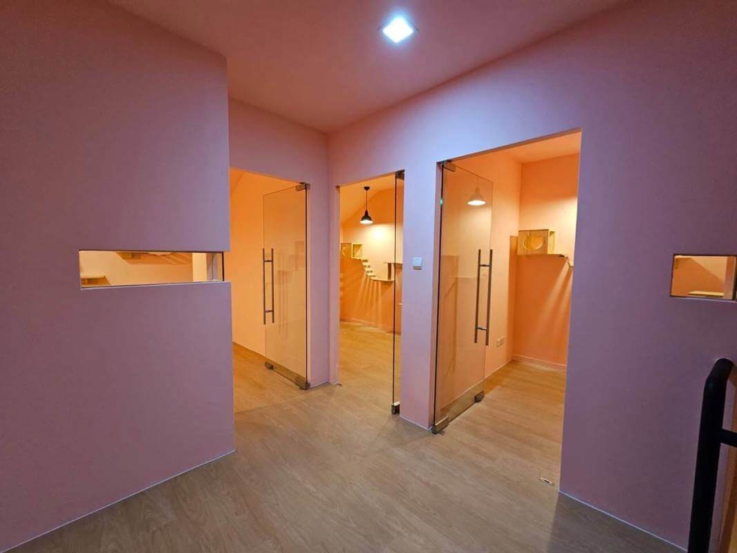 (Expired)URA Approved Cat Pet Hotel Takeover ( 9 Partition Rooms Available)