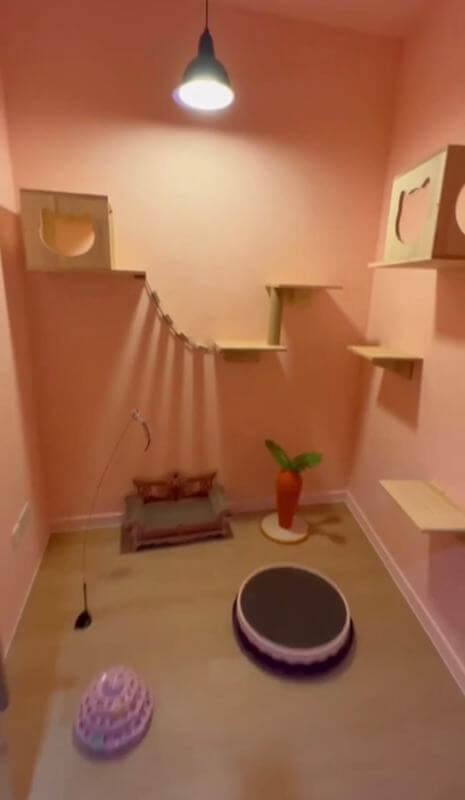 (Expired)URA Approved Cat Pet Hotel Takeover ( 9 Partition Rooms Available)