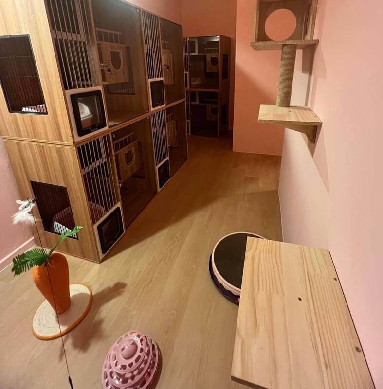 (Expired)URA Approved Cat Pet Hotel Takeover ( 9 Partition Rooms Available)