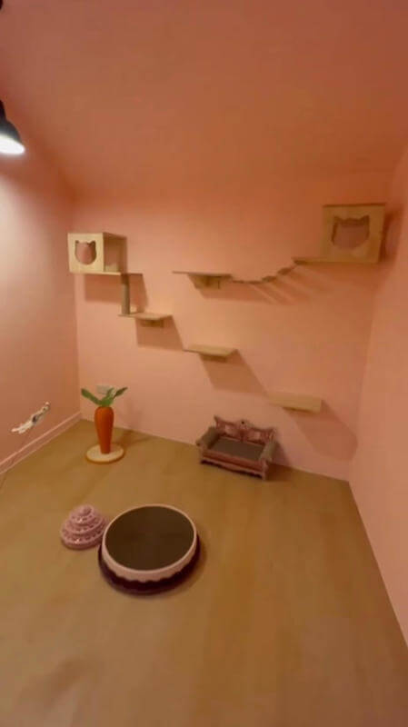 (Expired)URA Approved Cat Pet Hotel Takeover ( 9 Partition Rooms Available)