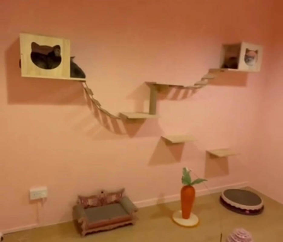 (Expired)URA Approved Cat Pet Hotel Takeover ( 9 Partition Rooms Available)