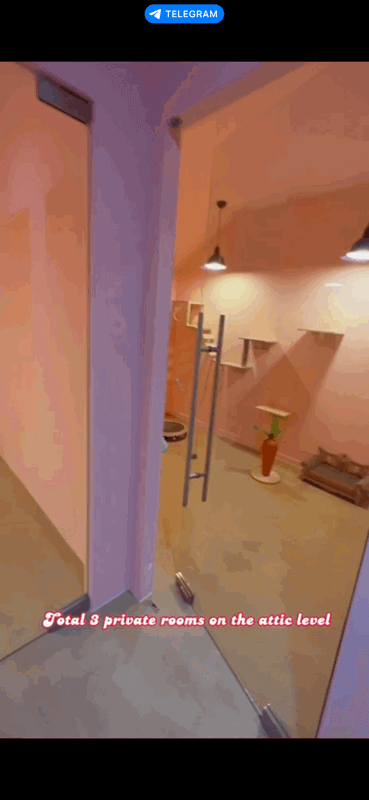 (Expired)URA Approved Cat Pet Hotel Takeover ( 9 Partition Rooms Available)