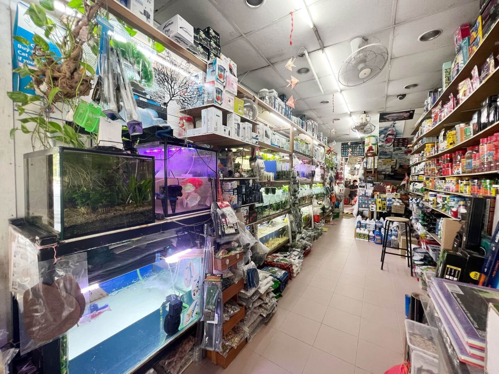 (Expired)Fish Aquarium Shop Near Bedok Central For Takeover ( Half Shop Space)