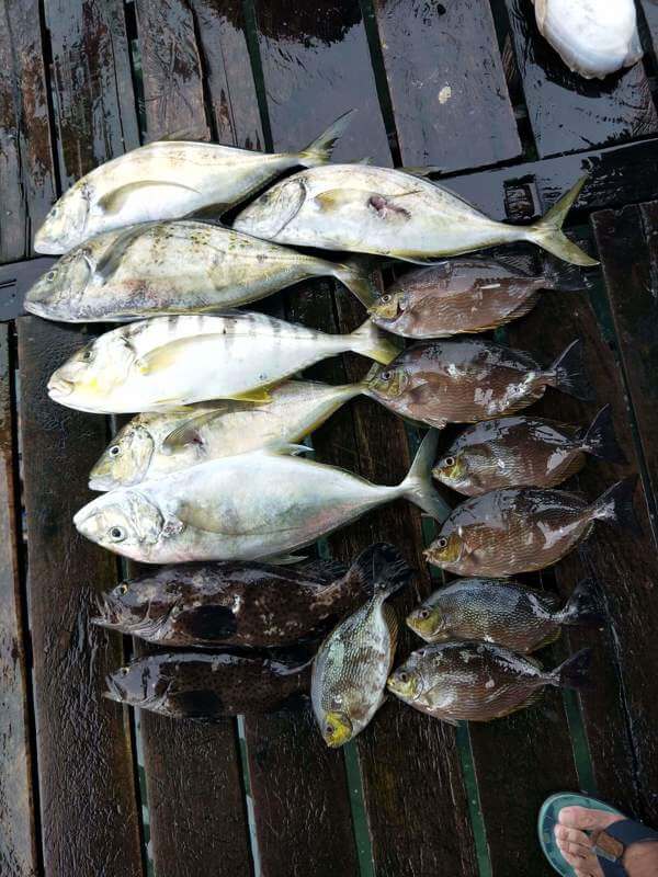 (Expired)Bintan Kelong Resort