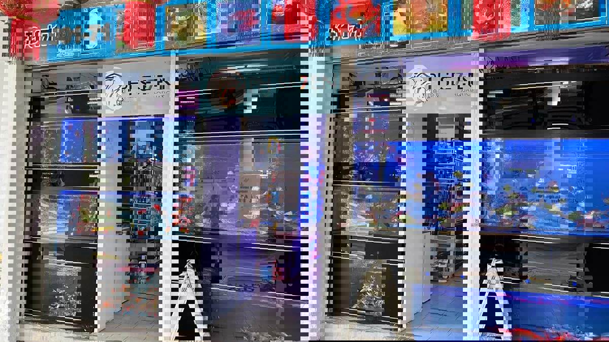 (Expired)Takeover $20k for Established Ornamental Fish Shop In Pets Walk Serangoon