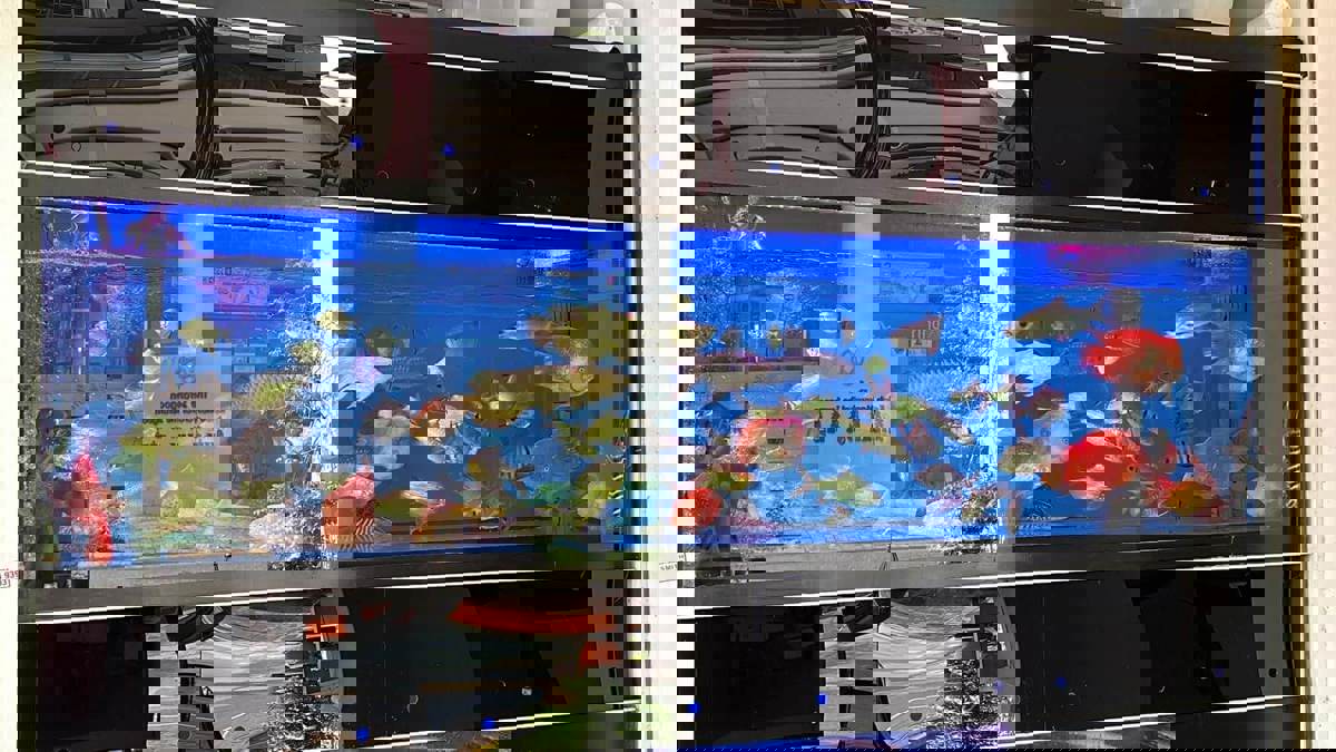 (Expired)Takeover $20k for Established Ornamental Fish Shop In Pets Walk Serangoon