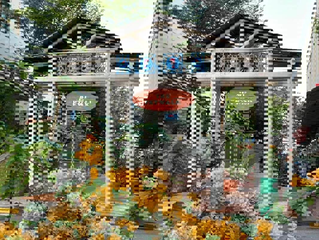 (Expired)Takeover $20k for Established Ornamental Fish Shop In Pets Walk Serangoon