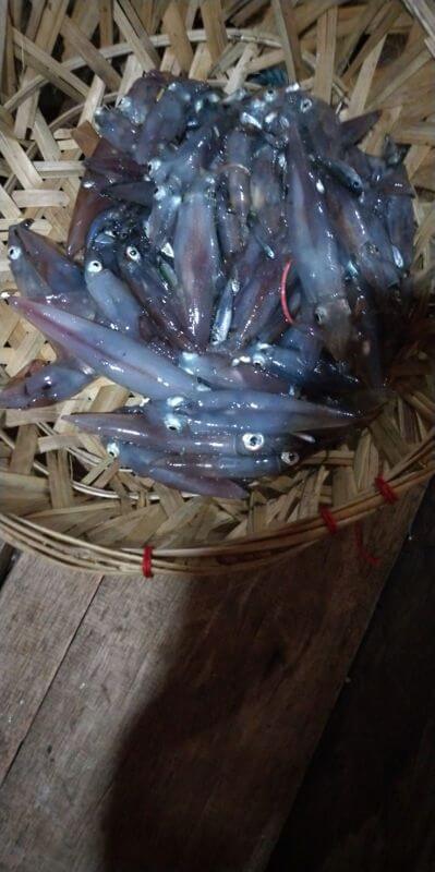 (Expired)Bintan Kelong Resort