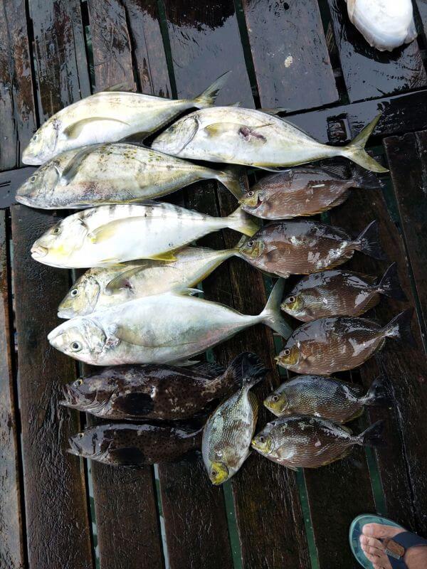 (Expired)Bintan Kelong Resort