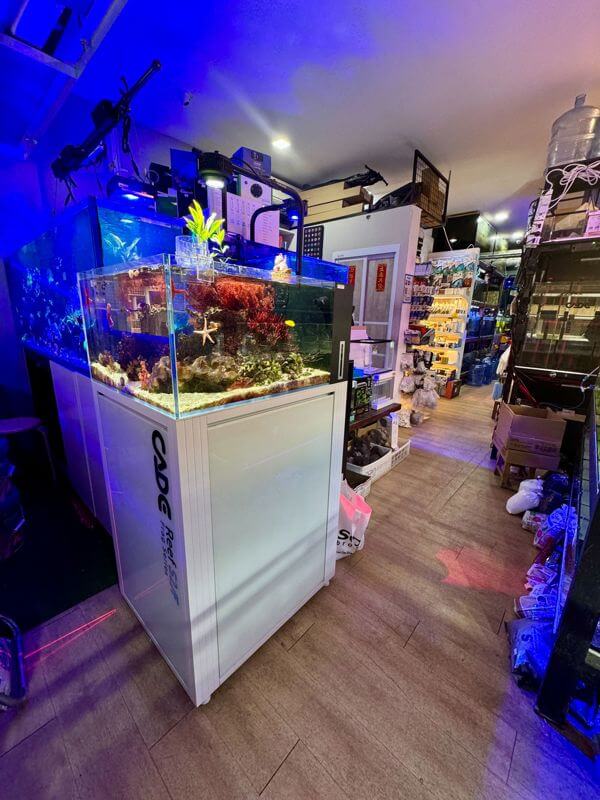 (Expired)Established Aquarium Shop For Takeover