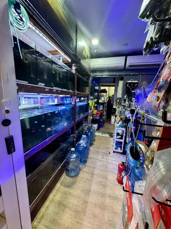 (Expired)Established Aquarium Shop For Takeover
