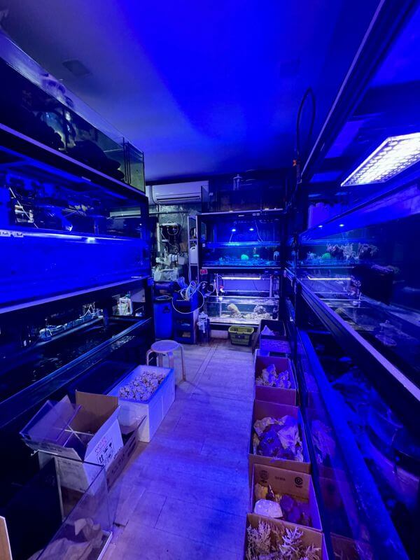 (Expired)Established Aquarium Shop For Takeover