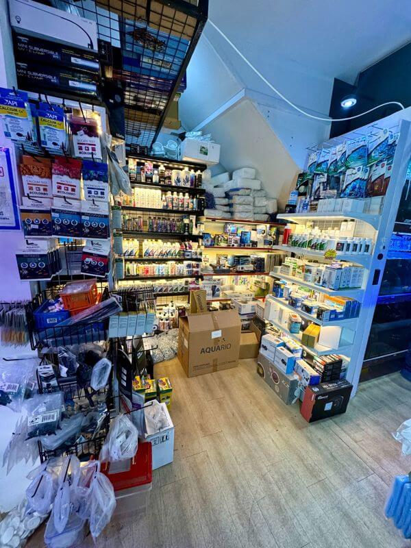 (Expired)Established Aquarium Shop For Takeover