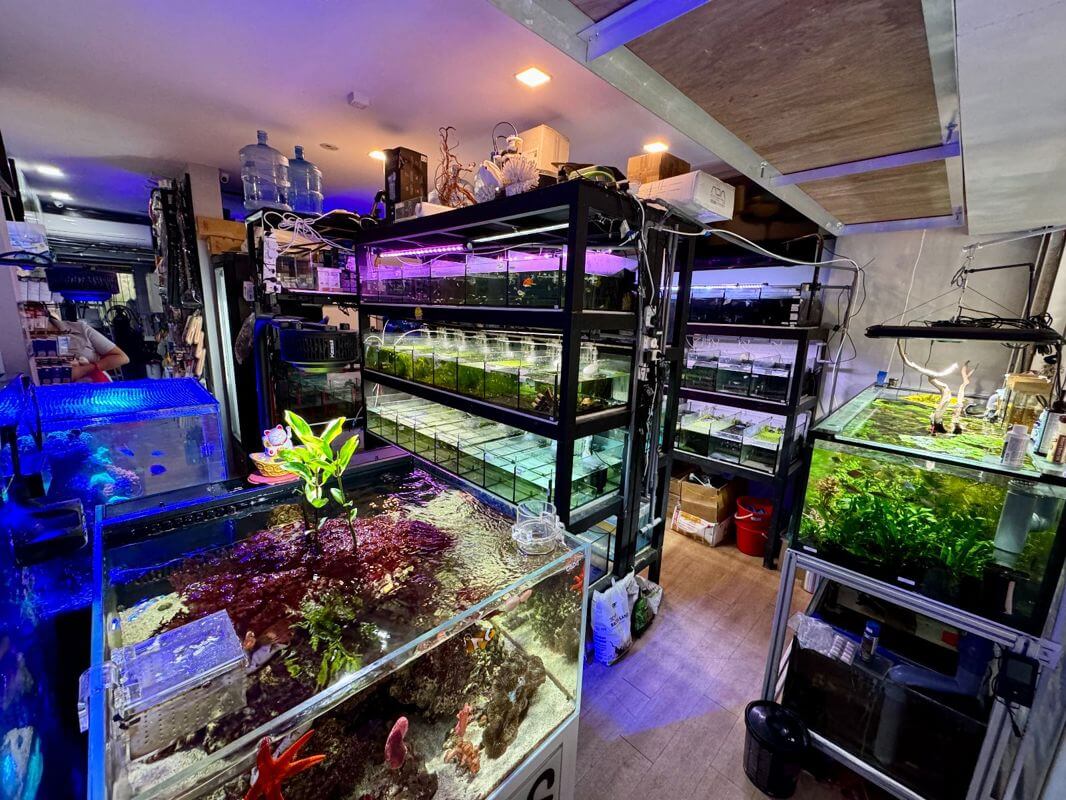 (Expired)Established Aquarium Shop For Takeover