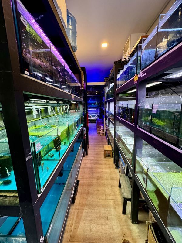 (Expired)Established Aquarium Shop For Takeover