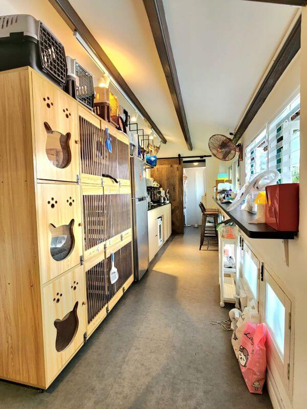 (Expired)Cat Friendly Co-Working