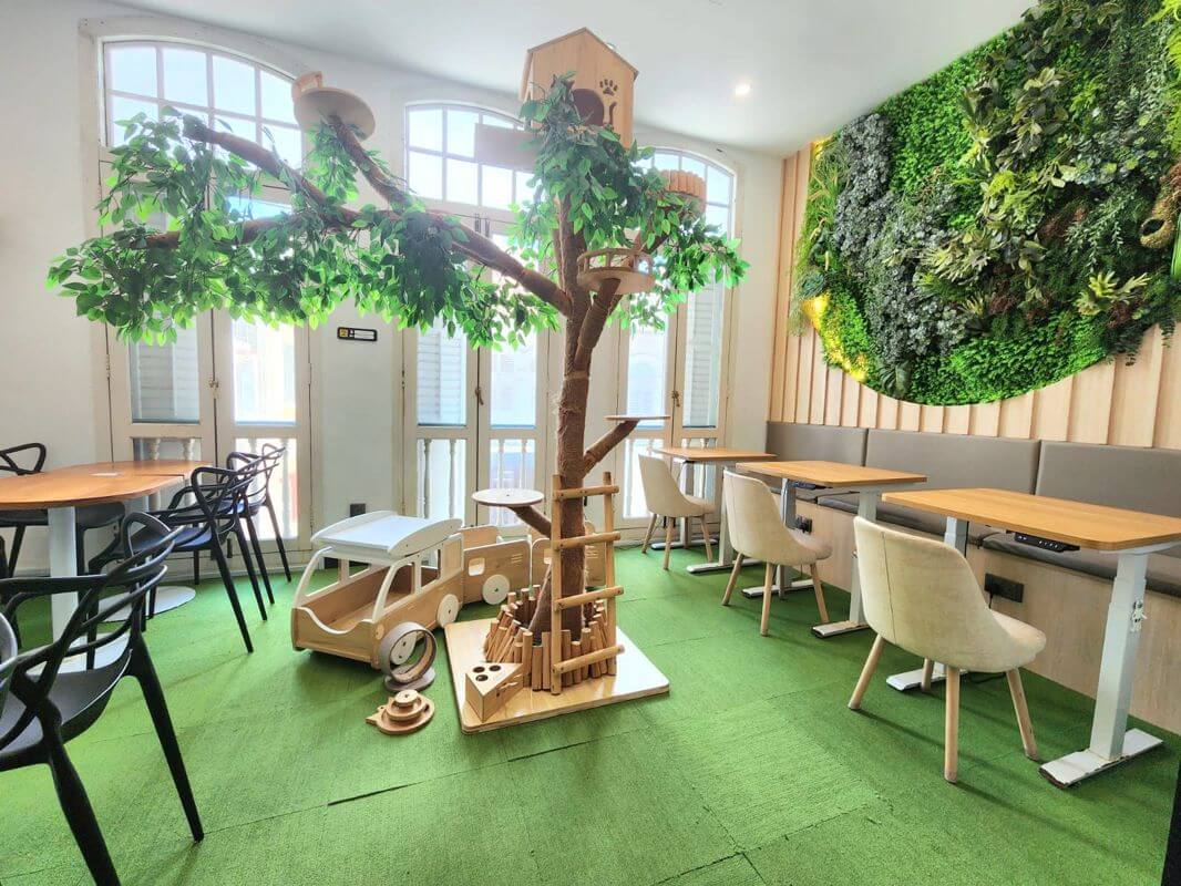 (Expired)Cat Friendly Co-Working