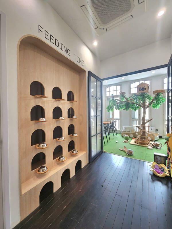 (Expired)Cat Friendly Co-Working