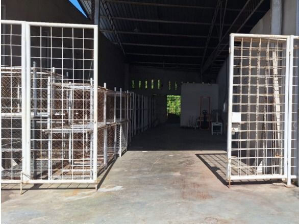 (Expired)For Sale,Herbal Medicine,Health Food & Essential Oil Factories In Bali–Ready For Immediate Transfer!