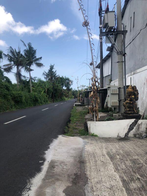 (Expired)For Sale,Herbal Medicine,Health Food & Essential Oil Factories In Bali–Ready For Immediate Transfer!